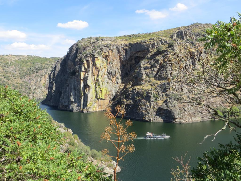 Camping Lamego Douro Valley Exterior foto