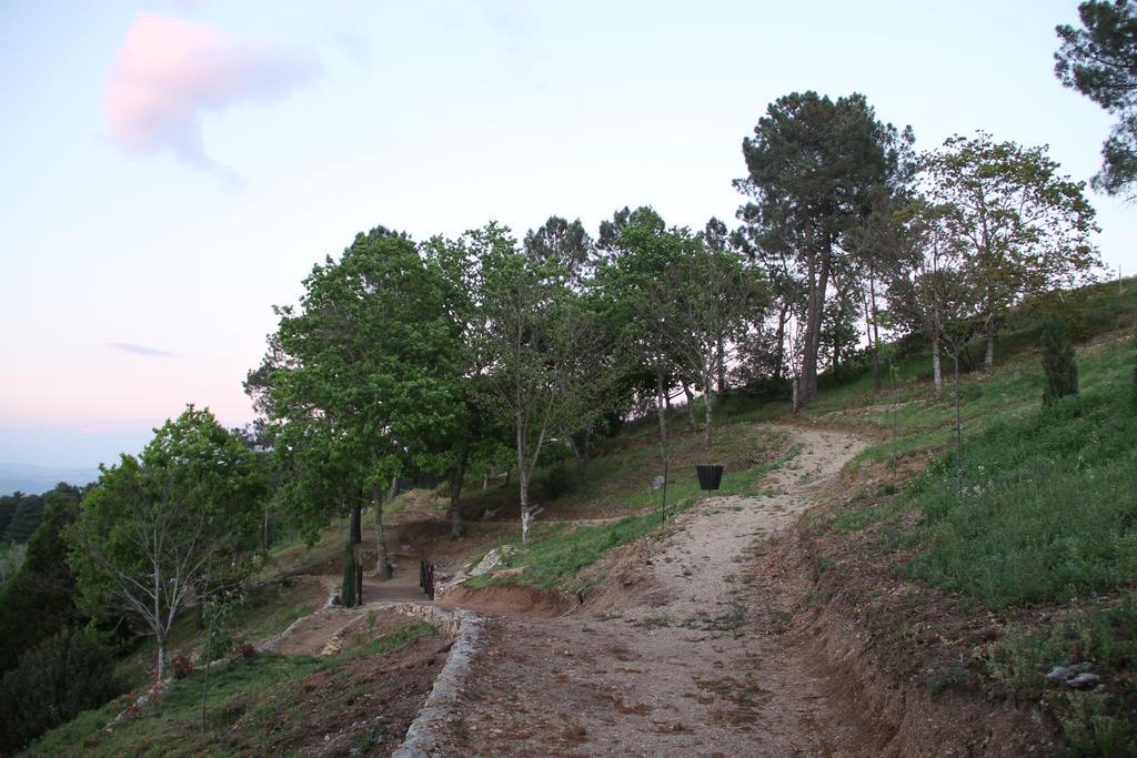 Camping Lamego Douro Valley Exterior foto