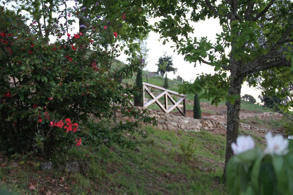 Camping Lamego Douro Valley Exterior foto